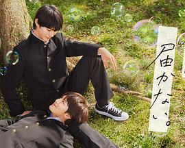 国产剧在线视频网海报剧照