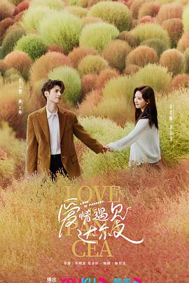 洛阳网你懂得海报剧照